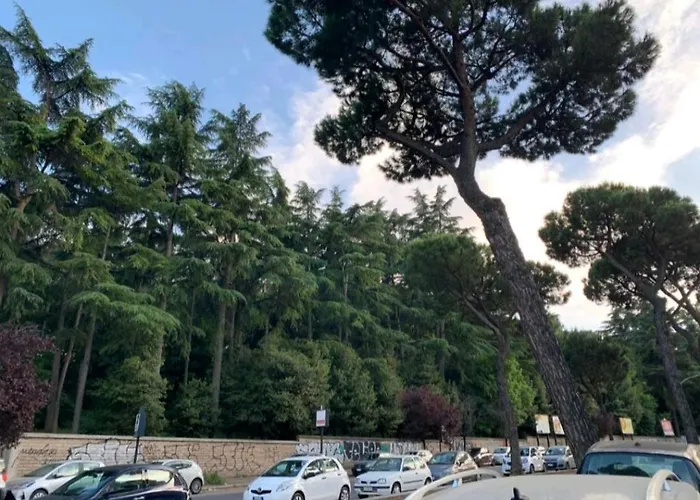 San Pietro Roma
